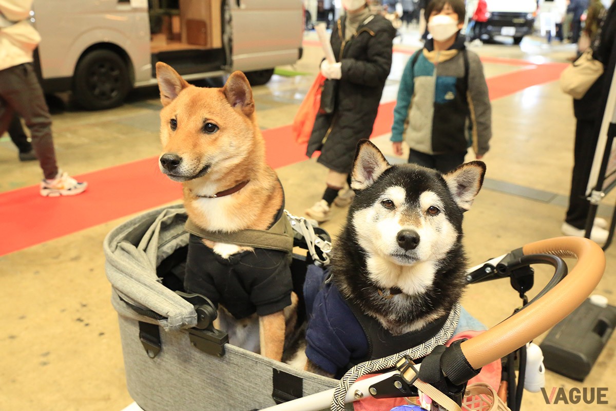 ジャパンキャンピングカーショーの様子