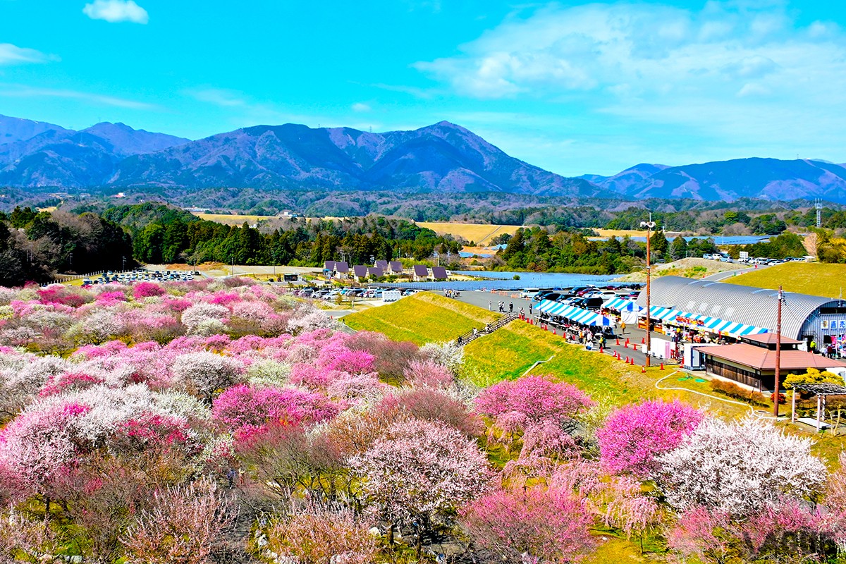 3位：いなべ市農業公園【三重県いなべ市】