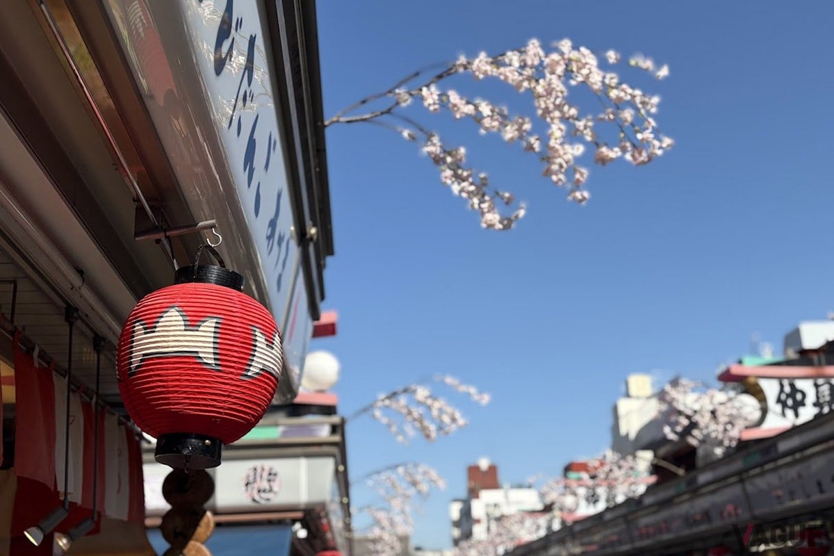 観光客でごった返す仲見世通りも、一本路地に入れば静かに…