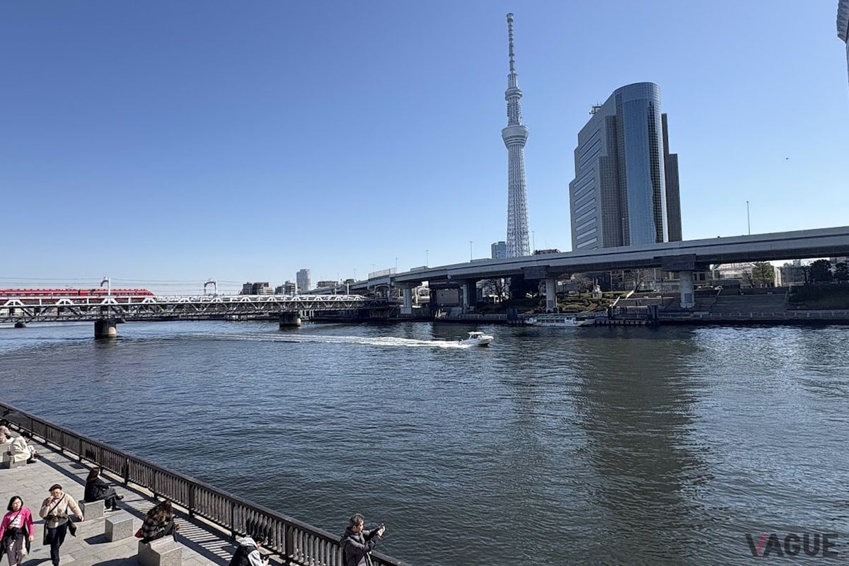 隅田川に流れると急に視界が開ける
