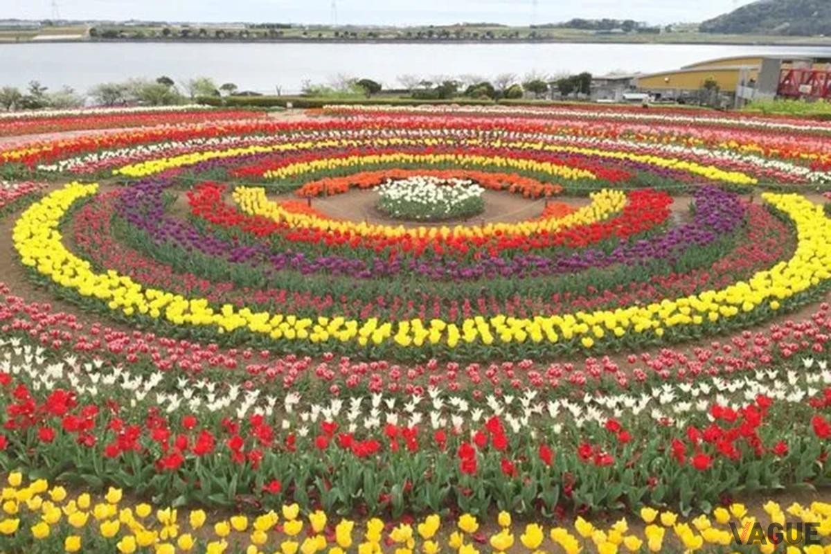 9位：芦ヶ池農業公園「サンテパルクたはら」【愛知県田原市】
