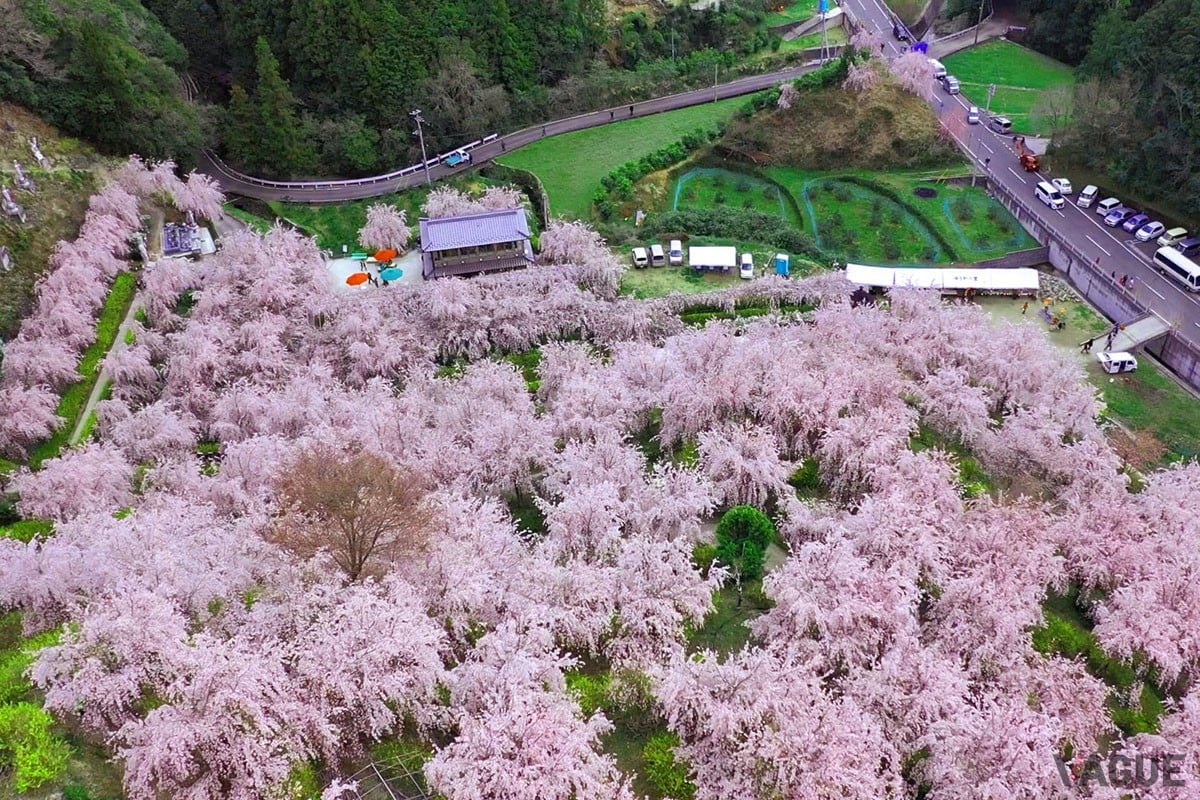 4位：ゆうかの里【徳島県神山町】