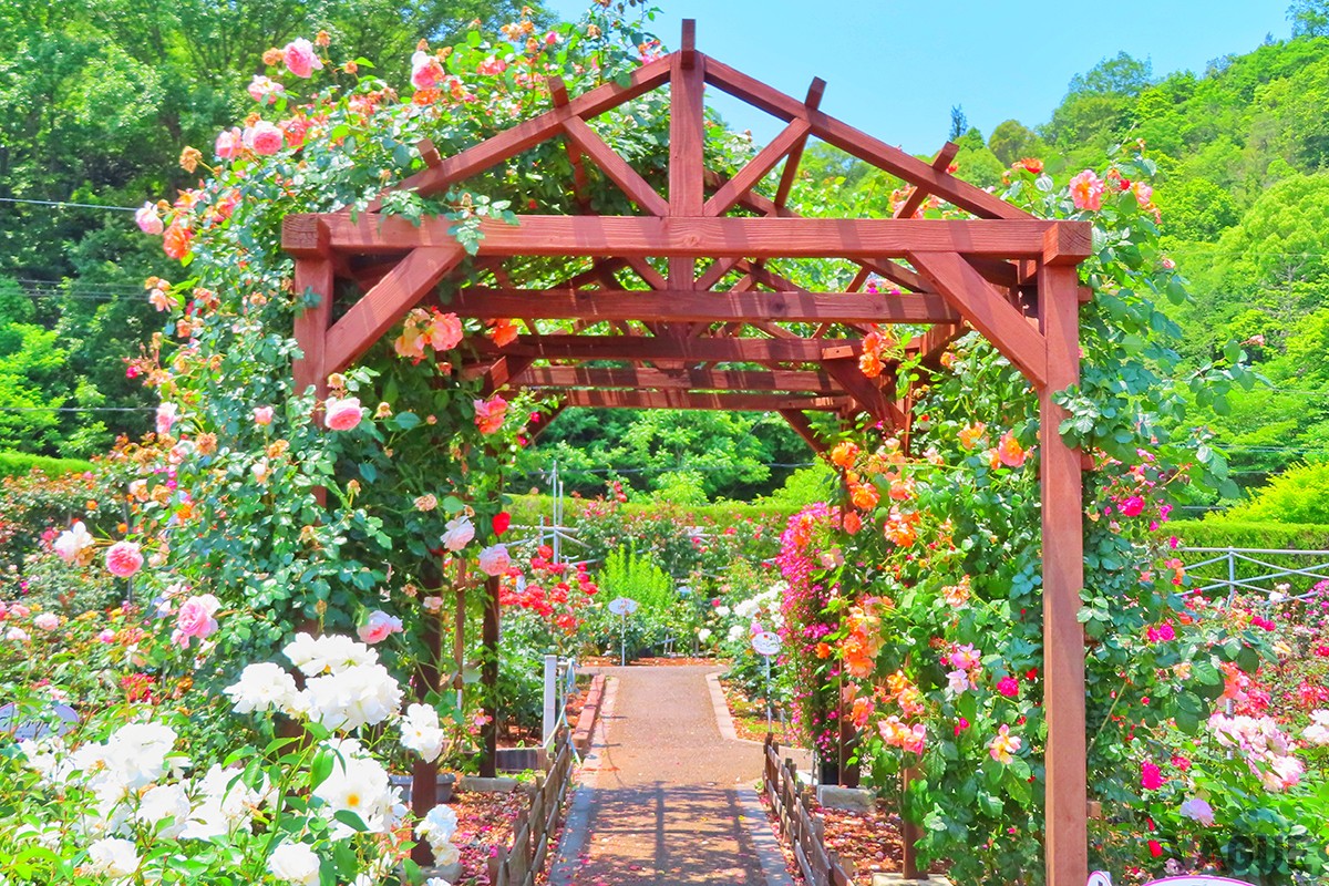 8位：福山サービスエリア（上り線）【広島県】：山陽自動車道