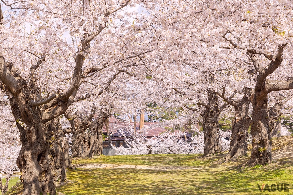 8位：オニウシ公園【北海道茅部郡】