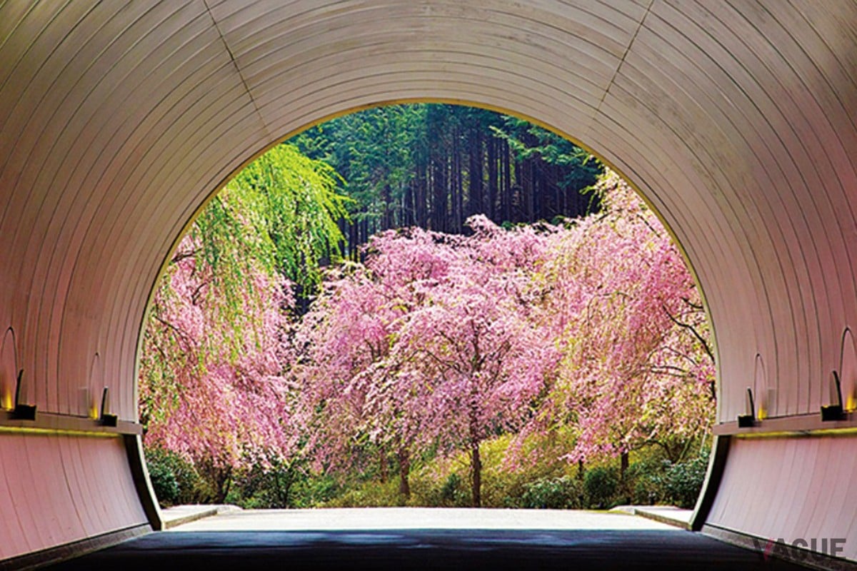 2位：MIHO MUSEUM【滋賀県甲賀市】