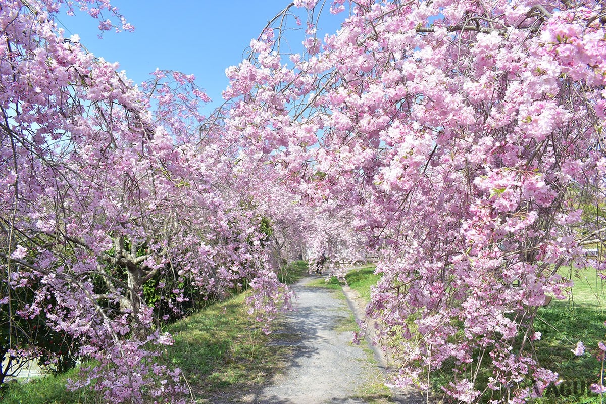 6位：たけべの森公園【岡山県岡山市】