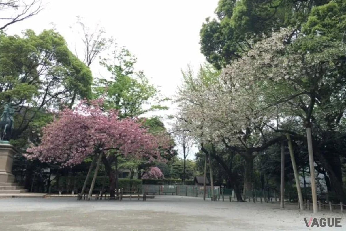 8位：有栖川宮記念公園【東京都港区】
