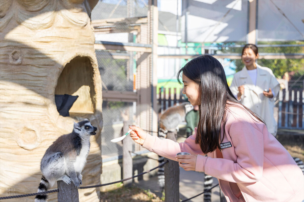 アドベンチャー・ドーム宿泊者特典：東武動物公園の入園券付き、朝から夜まで楽しめる充実ステイ