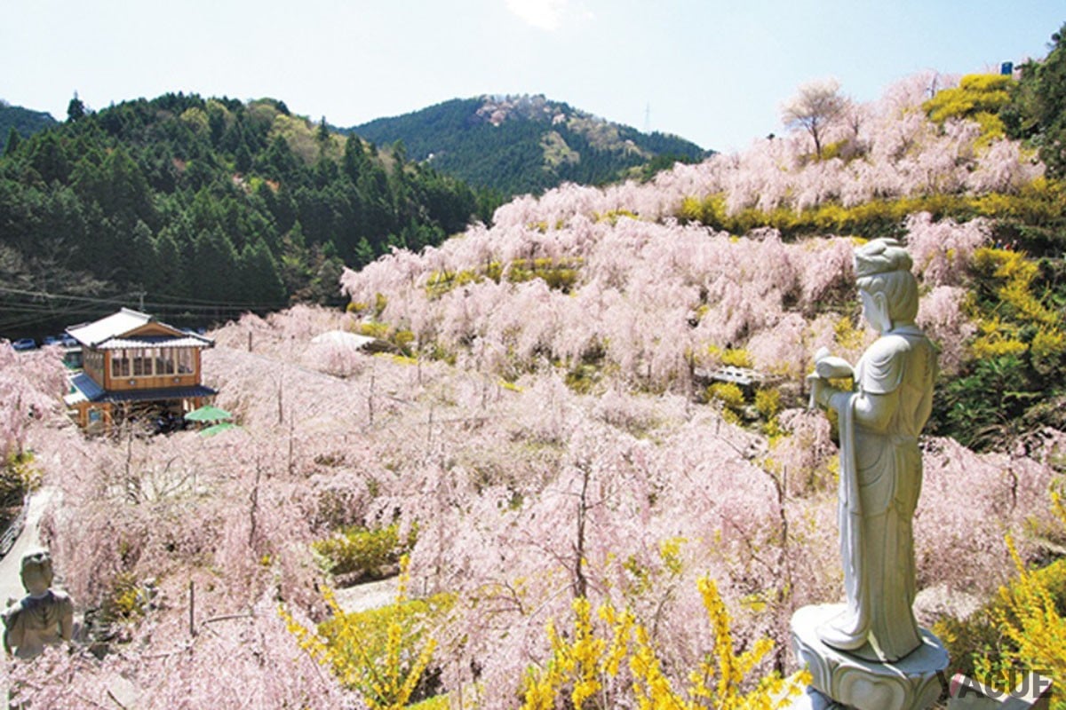 4位：ゆうかの里【徳島県神山町】