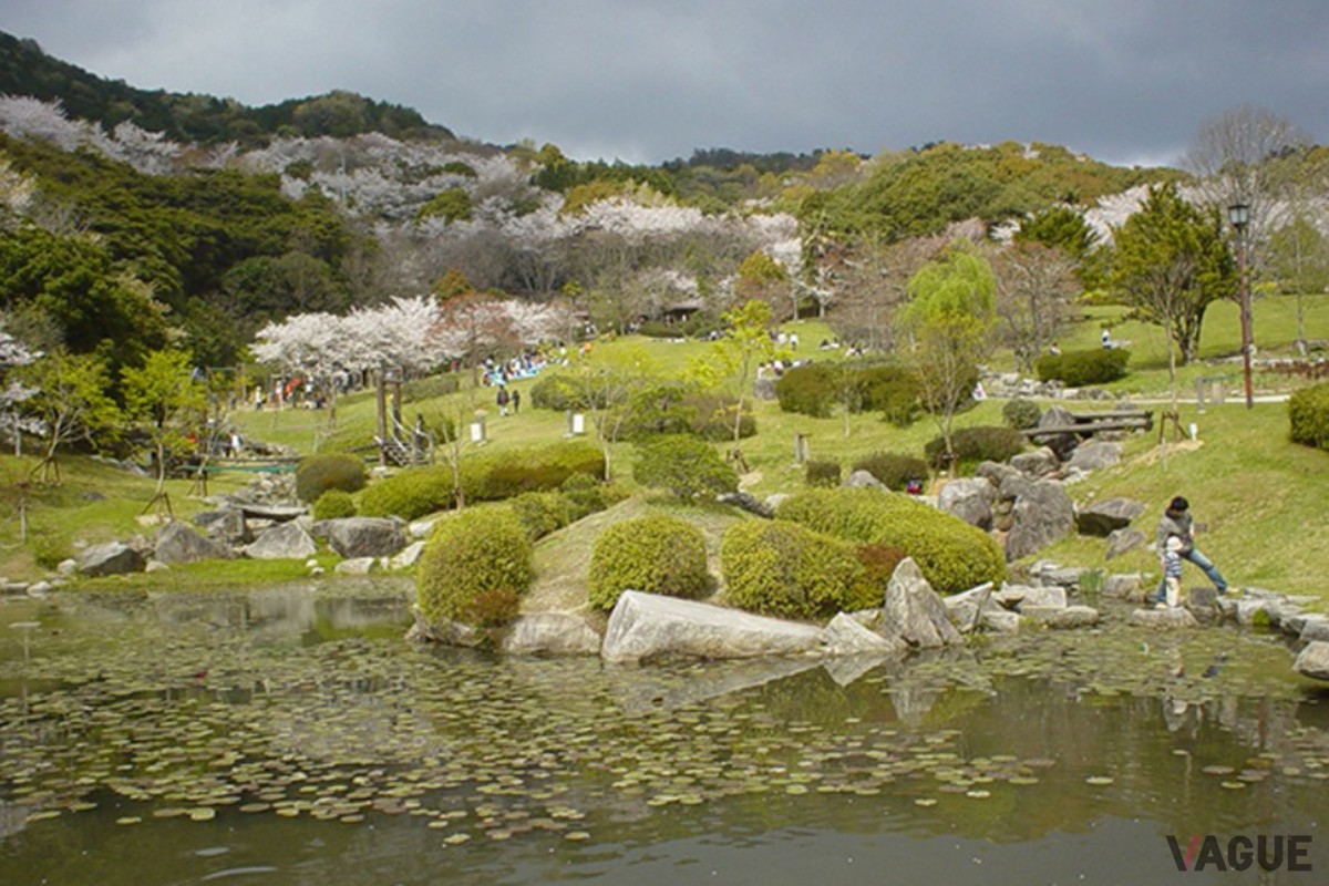 7位：金立ハイウェイオアシス（金立公園）【佐賀県】：長崎自動車道
