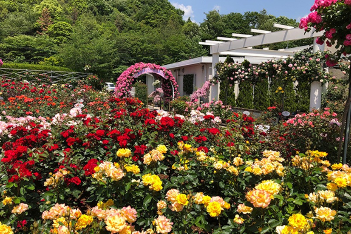 8位：福山サービスエリア（上り線）【広島県】：山陽自動車道