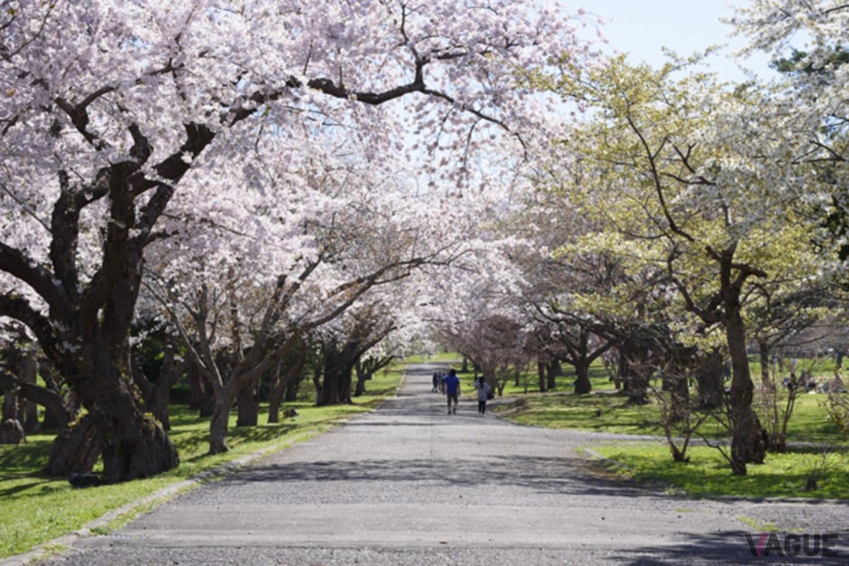8位：オニウシ公園【北海道茅部郡】