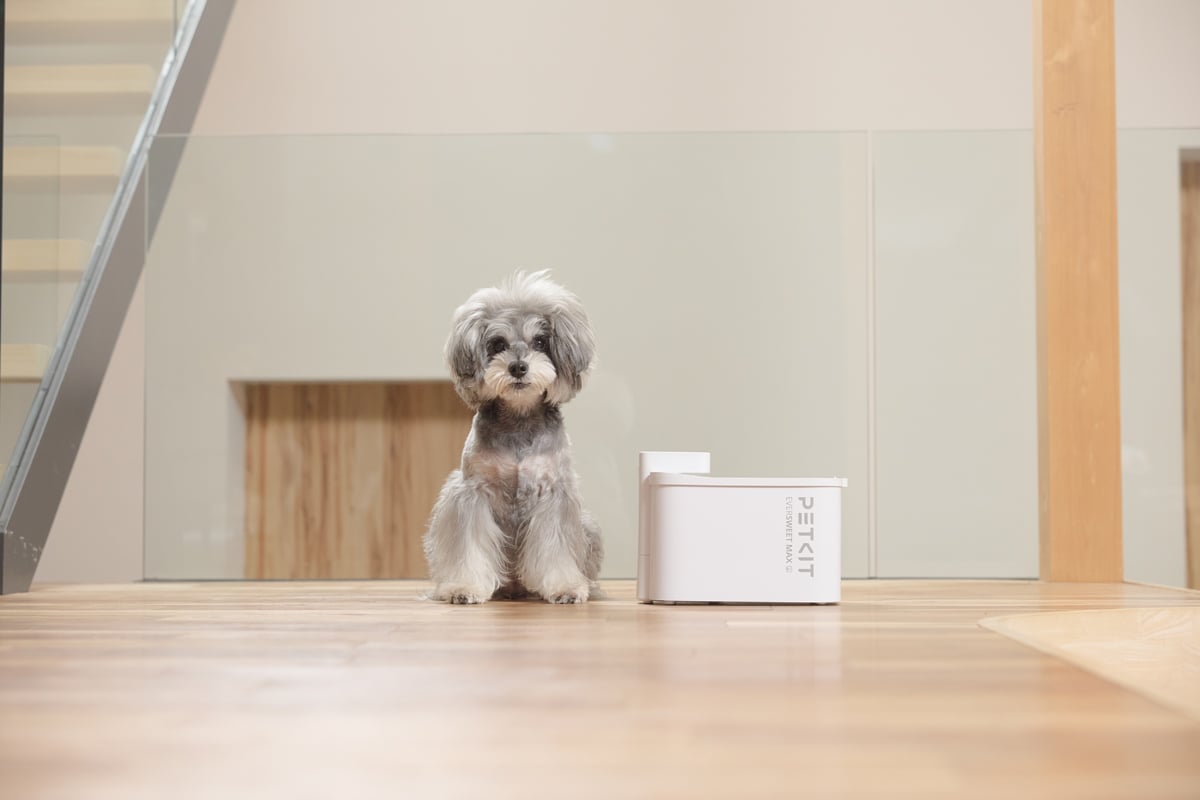 停電時でも給水を継続できるコードレス設計で、食洗器にも対応した「食洗器対応自動給水機」