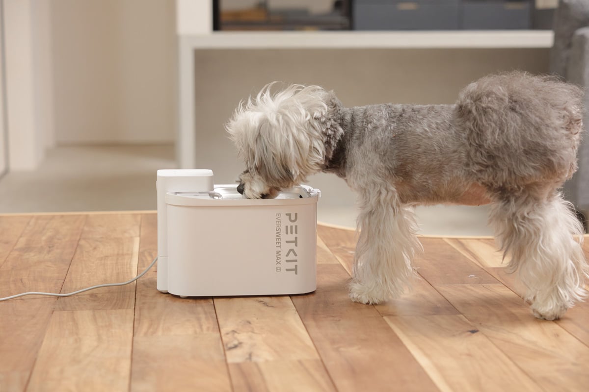 停電時でも給水を継続できるコードレス設計で、食洗器にも対応した「食洗器対応自動給水機」