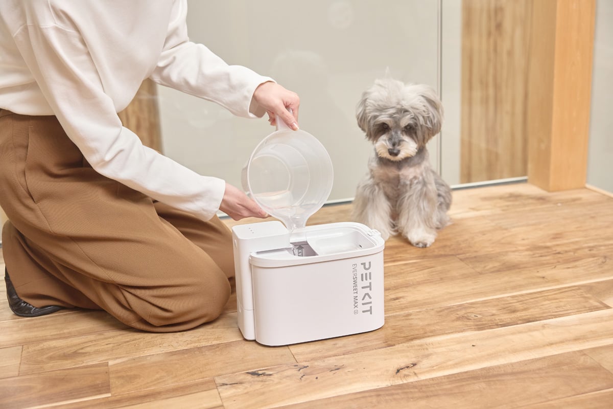 給水タンクは多頭飼いでも安心の3000ml（3L）の大容量