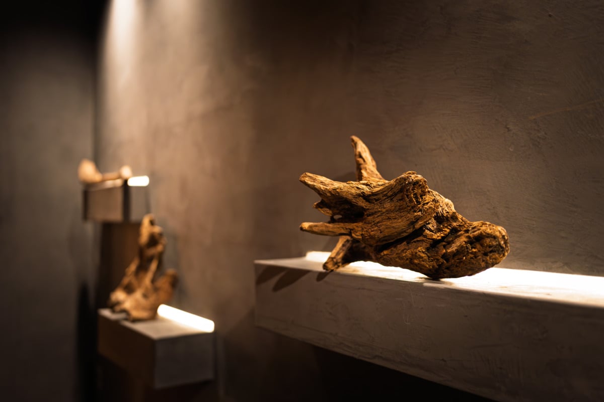 どこか気を和らげてくれるライトアップされた流木