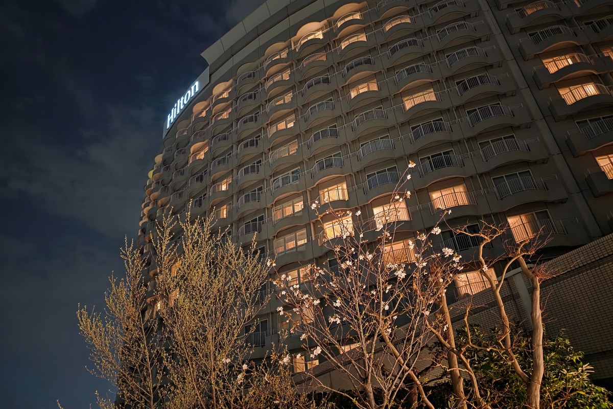全客室にバルコニーを備えるヒルトン東京お台場の外観。夜桜越しに見上げる客室の温かな灯りが、ラグジュアリーな滞在への期待を高めてくれる