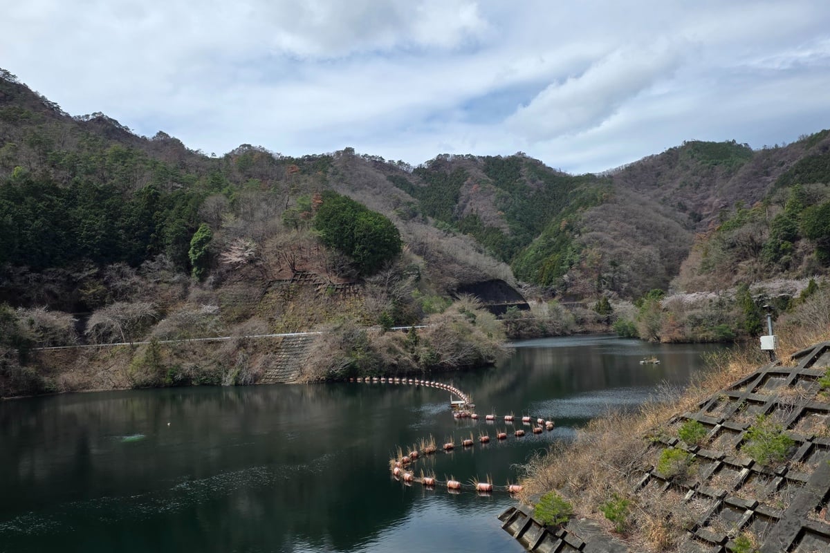 総貯水量1,900千立方メートルを設け、洪水調節・流水の正常な機能の維持・水道用水の供給を目的とする松田川ダム