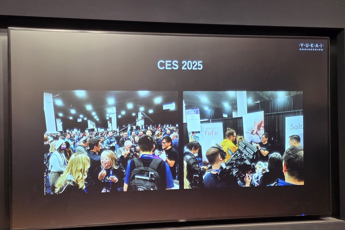 CES 2025で公開されたmirumiは、テックイベントの会場で異彩を放った。大きな機能訴求ではなく、“目が合ううれしさ”で人を惹きつけたのが印象的だ