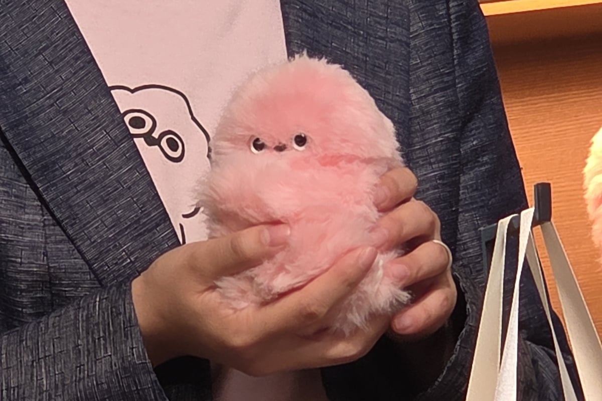 こちらをちらりと見返すだけで、ただのぬいぐるみが“存在”に変わる。mirumiの魅力は、ふわふわの質感以上に、この小さな目が引き出す感情の動きにある