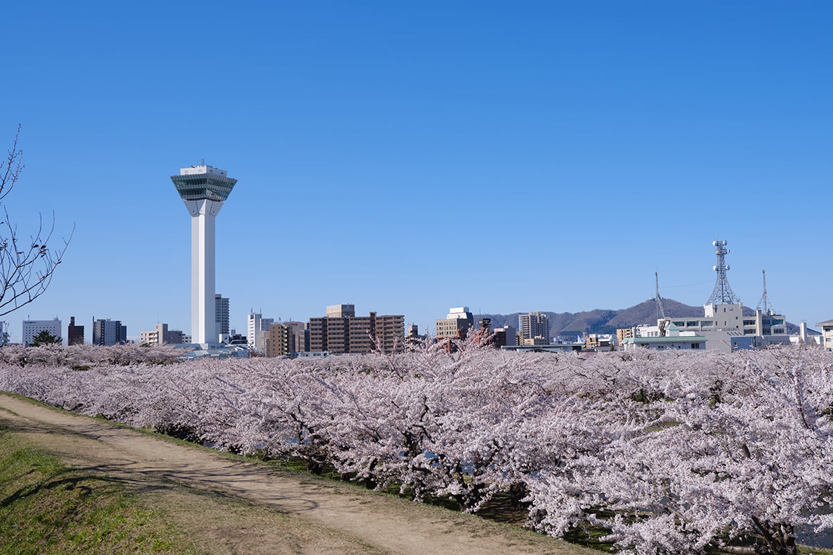 北海道「五稜郭公園」