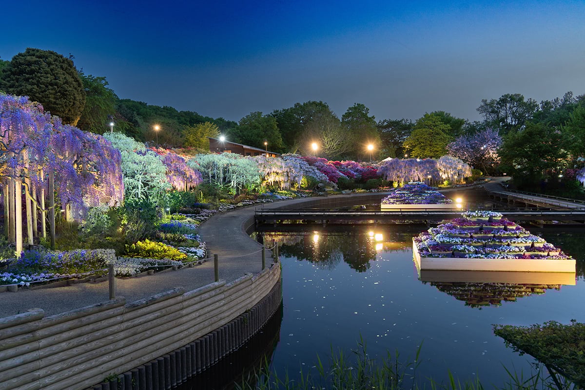 栃木県「あしかがフラワーパーク」