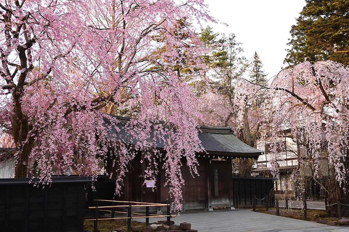 秋田県「角館武家屋敷通り」