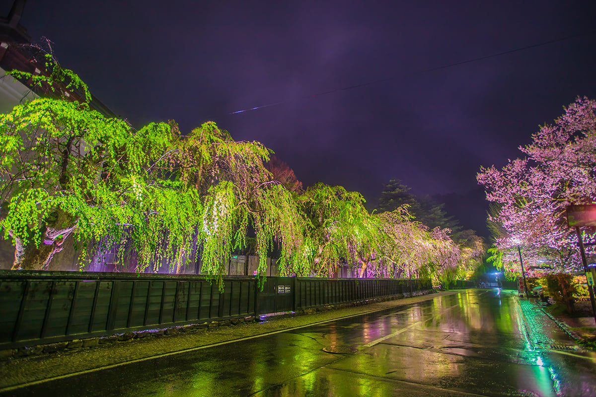 秋田県「角館武家屋敷通り」