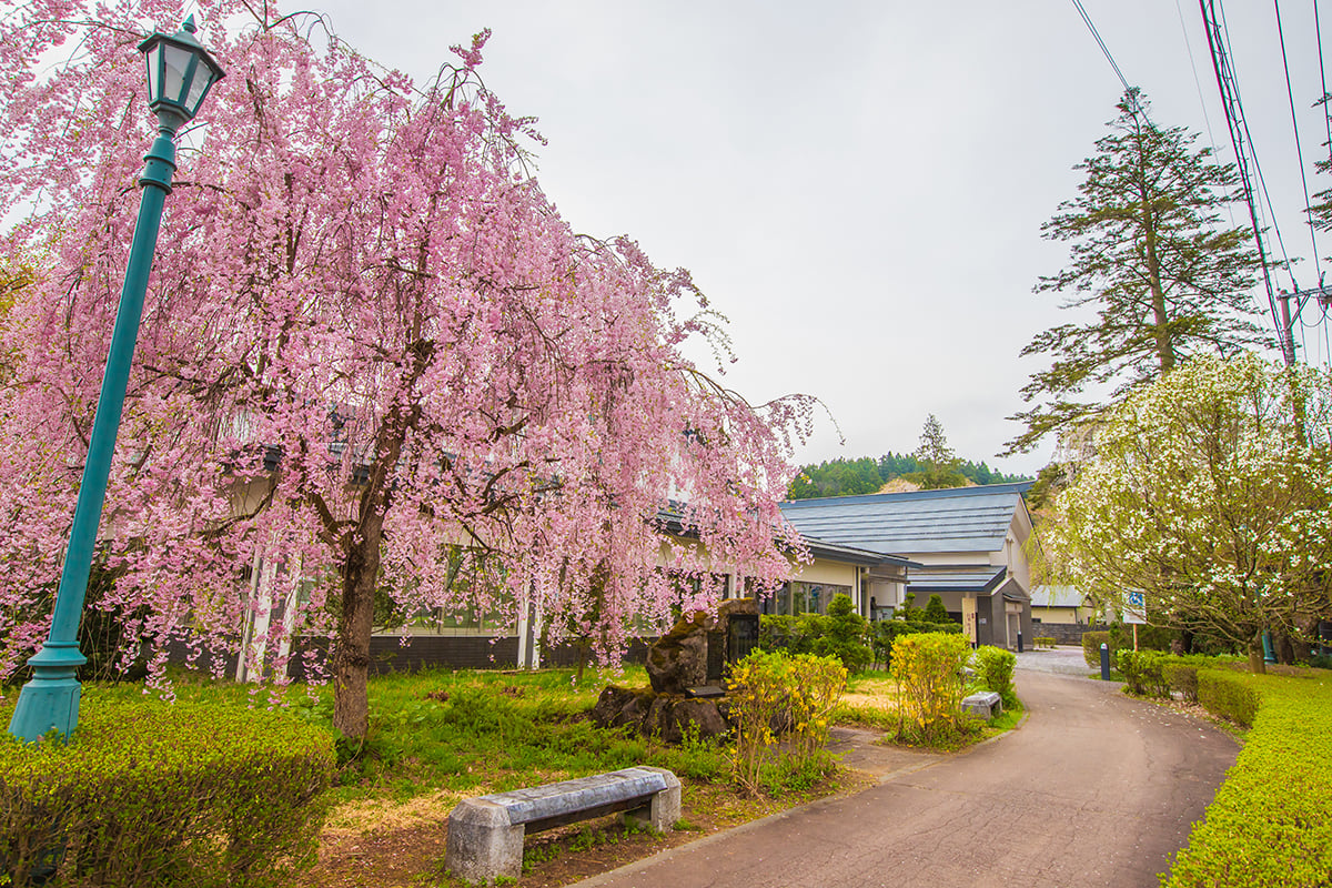秋田県「角館武家屋敷通り」