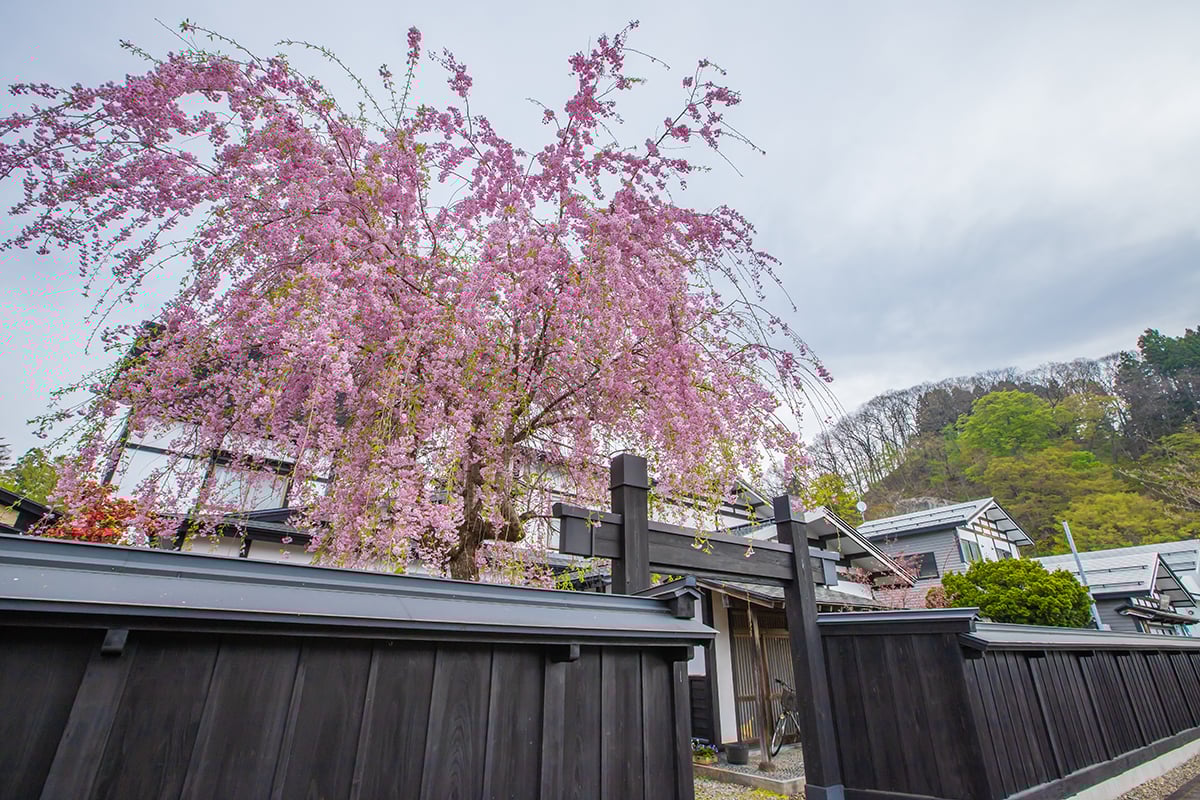 秋田県「角館武家屋敷通り」