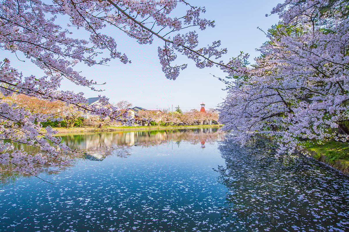 青森県「弘前公園」