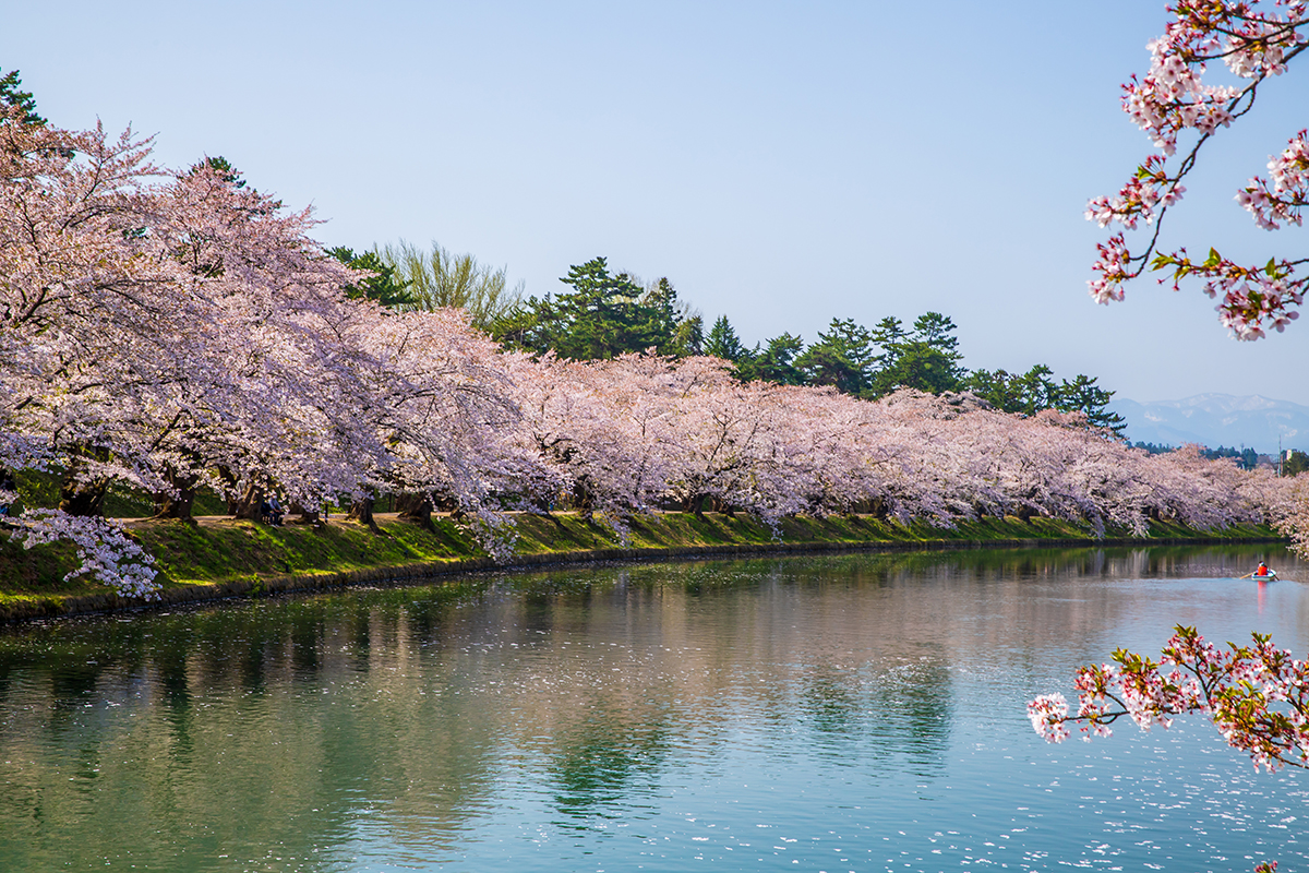 青森県「弘前公園」