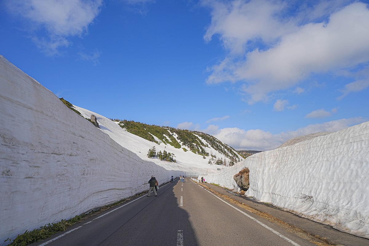 “雪の回廊”が幻想的な「八幡平アスピーテライン」