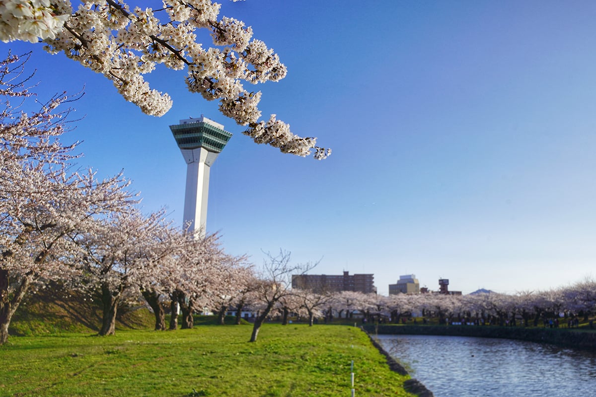 北海道「五稜郭公園」