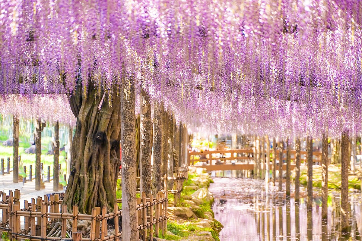 愛知県「天王川公園」