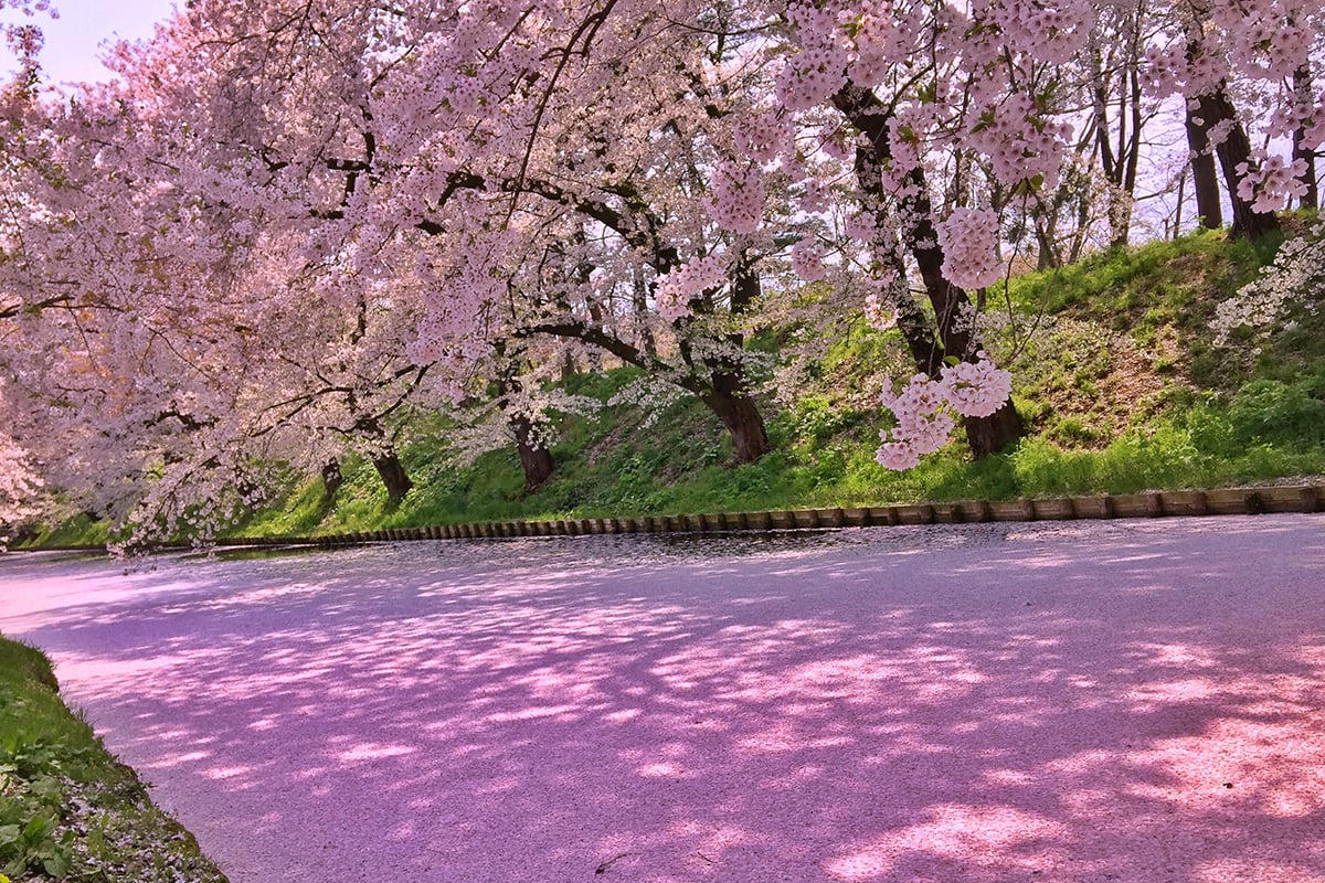 青森県「弘前公園」