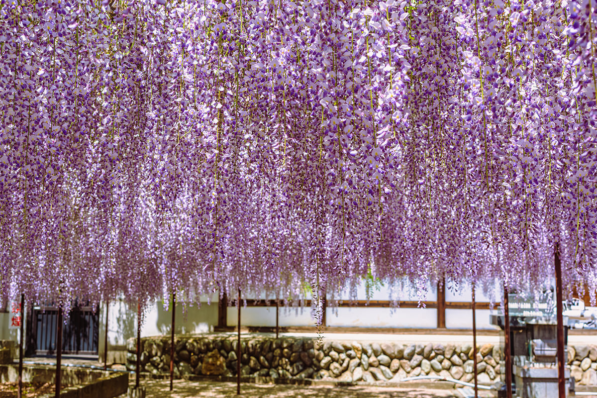 埼玉県「長泉寺」