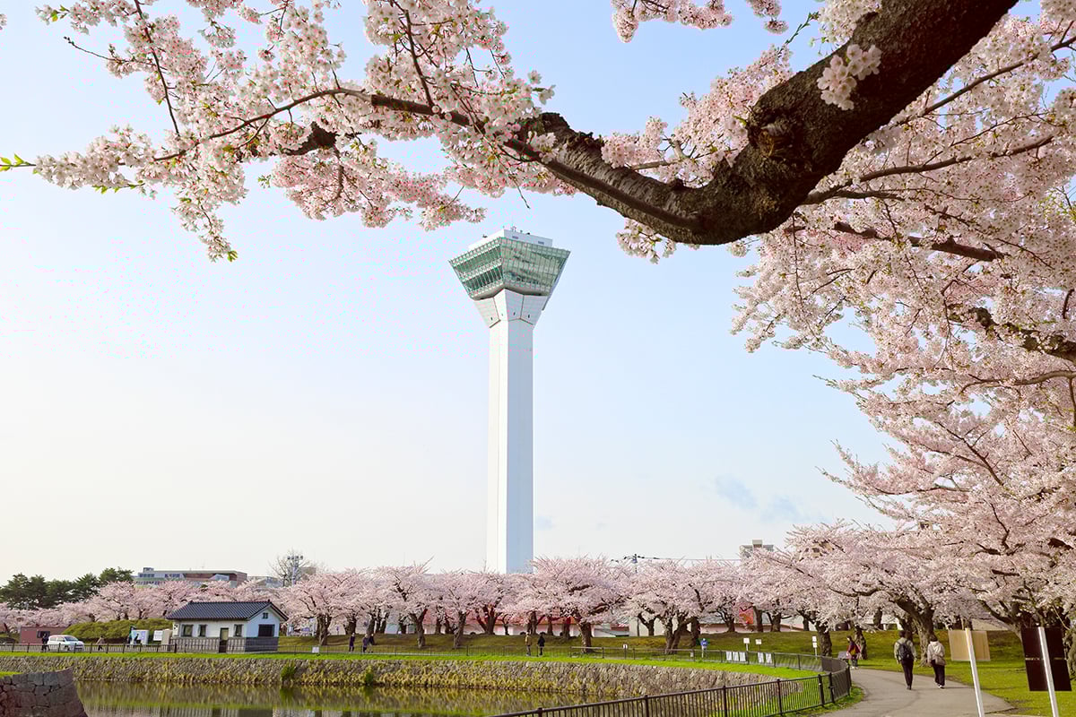 「今年はもう無理」と諦めるのはまだ早い！ 4月中旬からGWにかけて“見頃を迎える” 北日本を代表する「桜の名所」3選