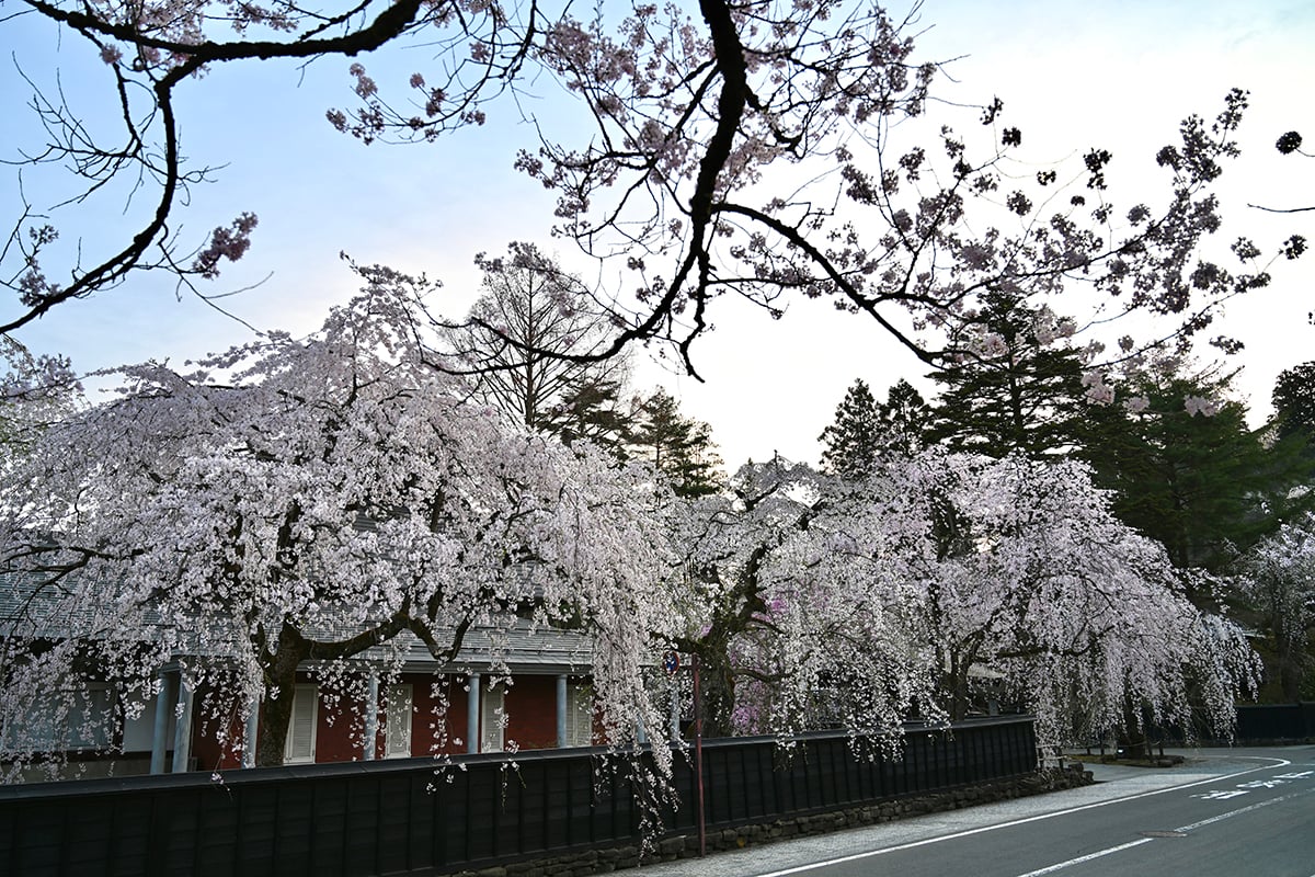 秋田県「角館武家屋敷通り」