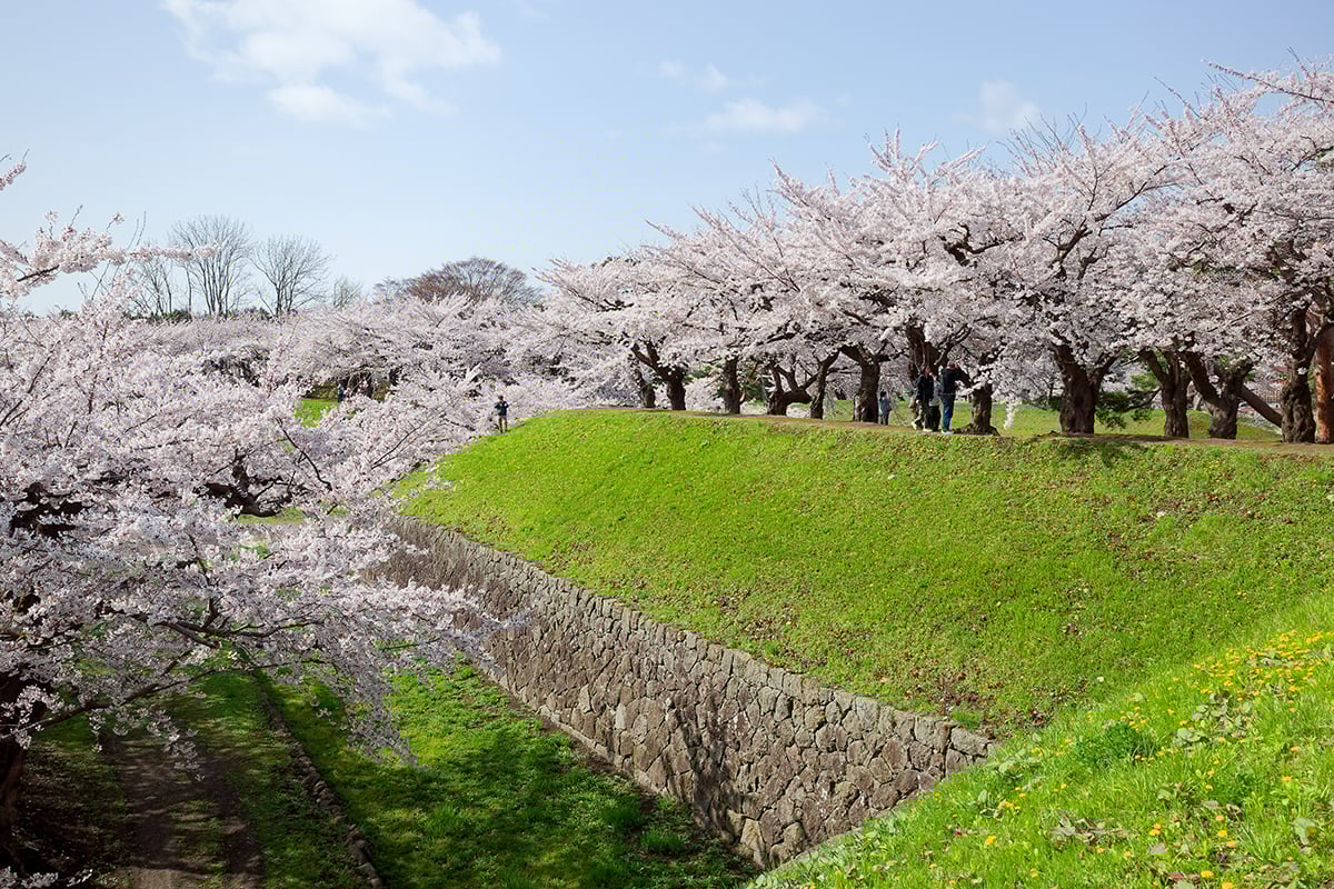 北海道「五稜郭公園」