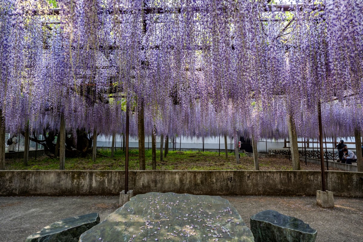 埼玉県「長泉寺」