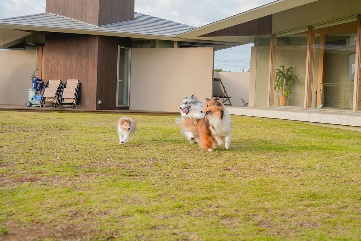 どこでもノーリードでOKなドッグファースト設計「Suite」　※新棟ではありません