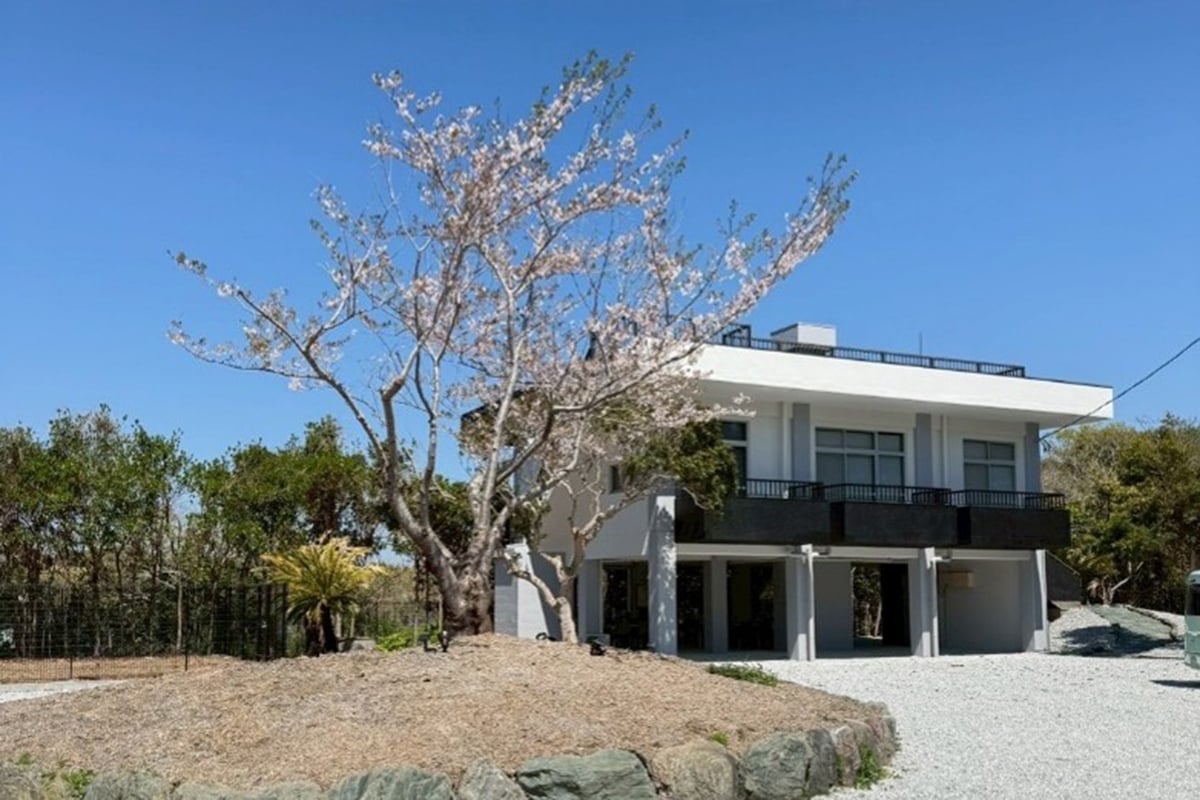 伐採後にウッドチップとして再利用した植栽エリア