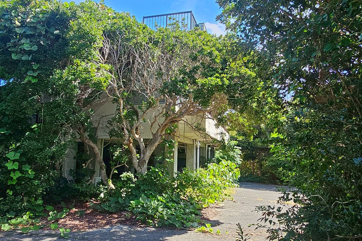 木々が雑草に覆い隠される外観