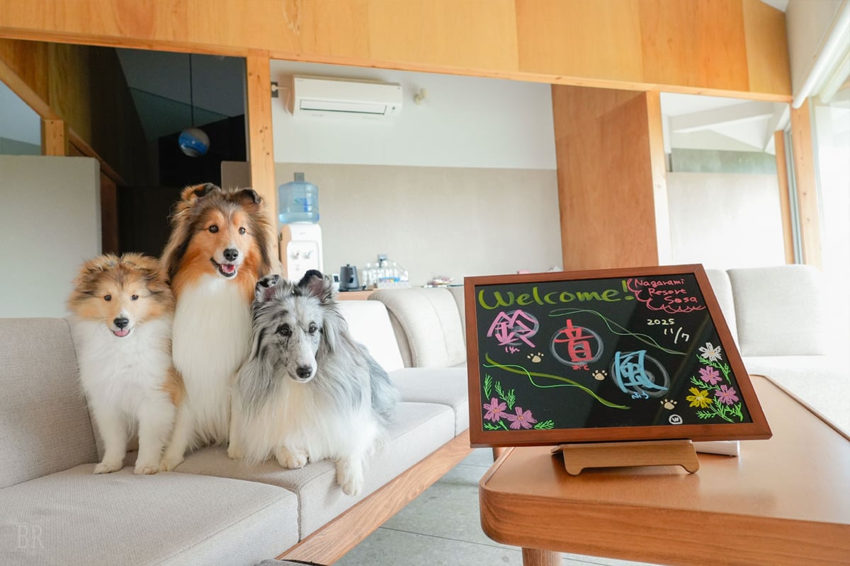 ワンちゃんをウェルカムボードでお出迎え