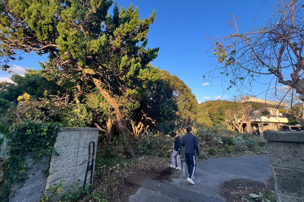 代表や社員とで大量の植物伐採作業から始める