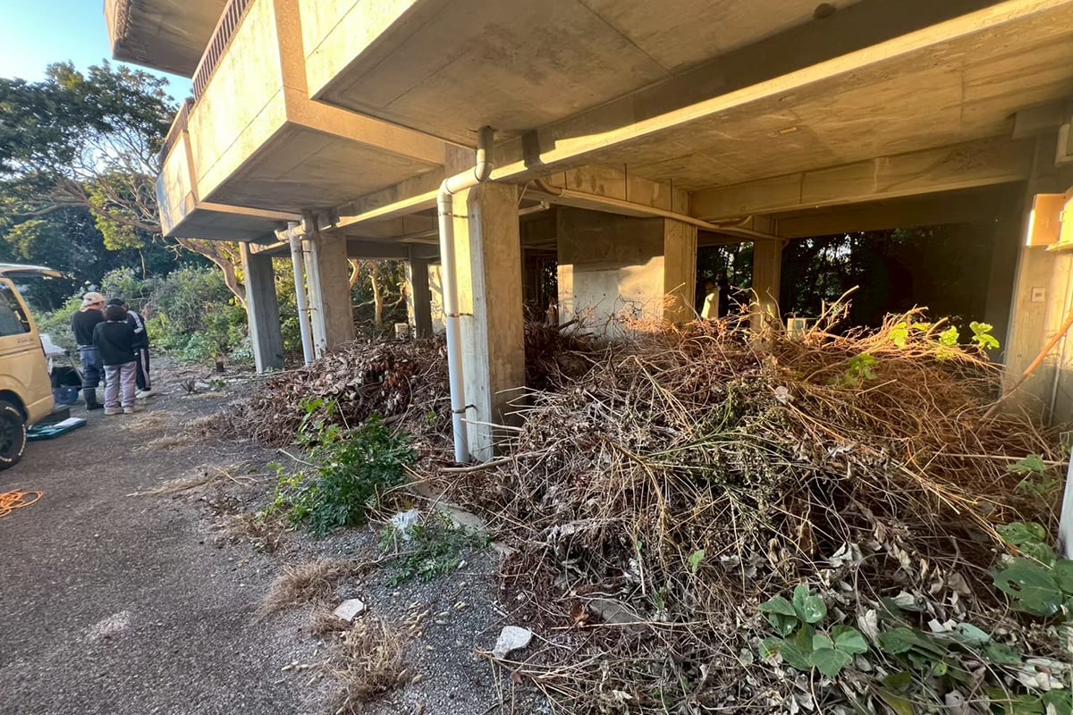 植物が生い茂る1F部分