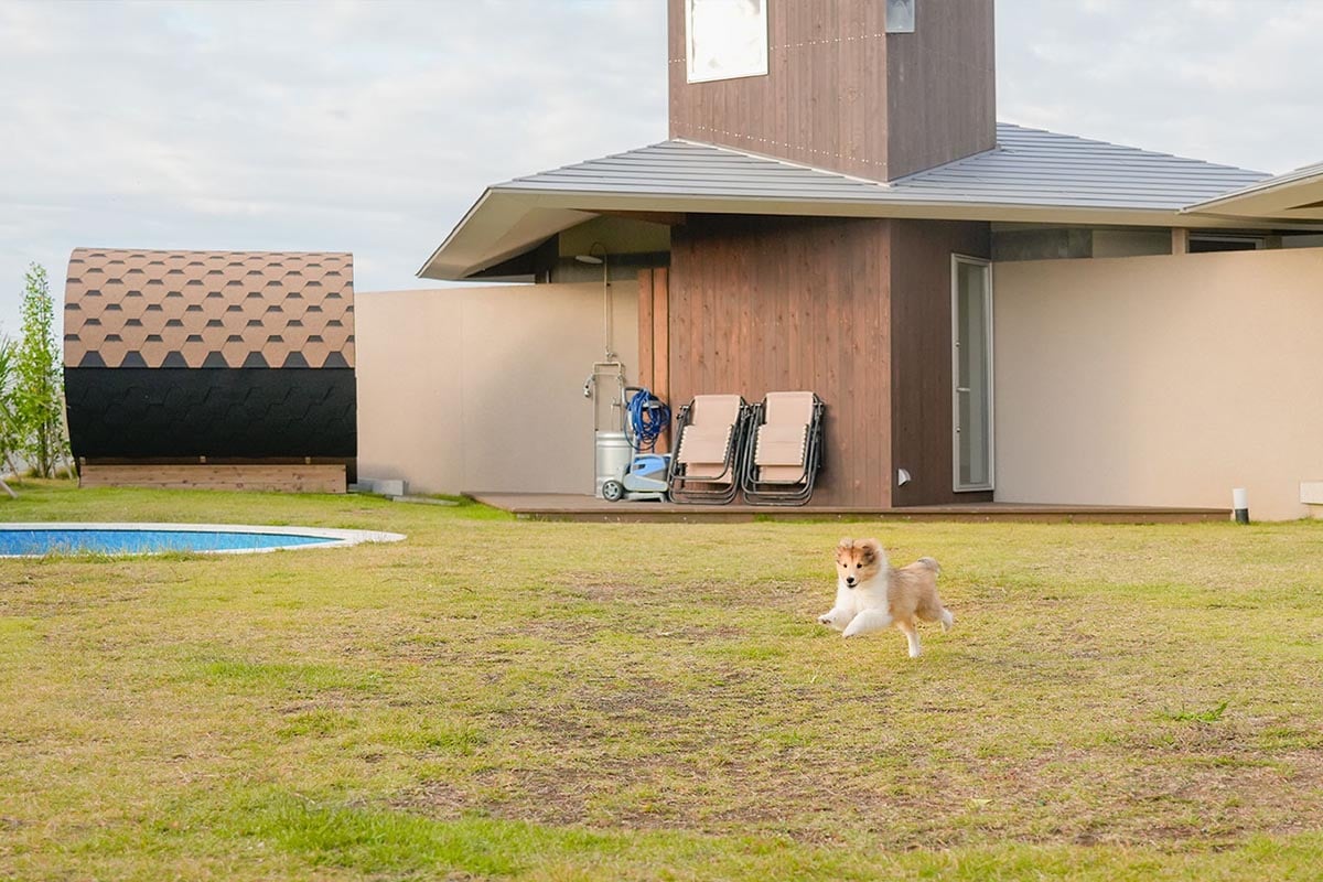 圧倒的な開放感、愛犬のための「プライベート・ドッグラン」　※新棟ではありません