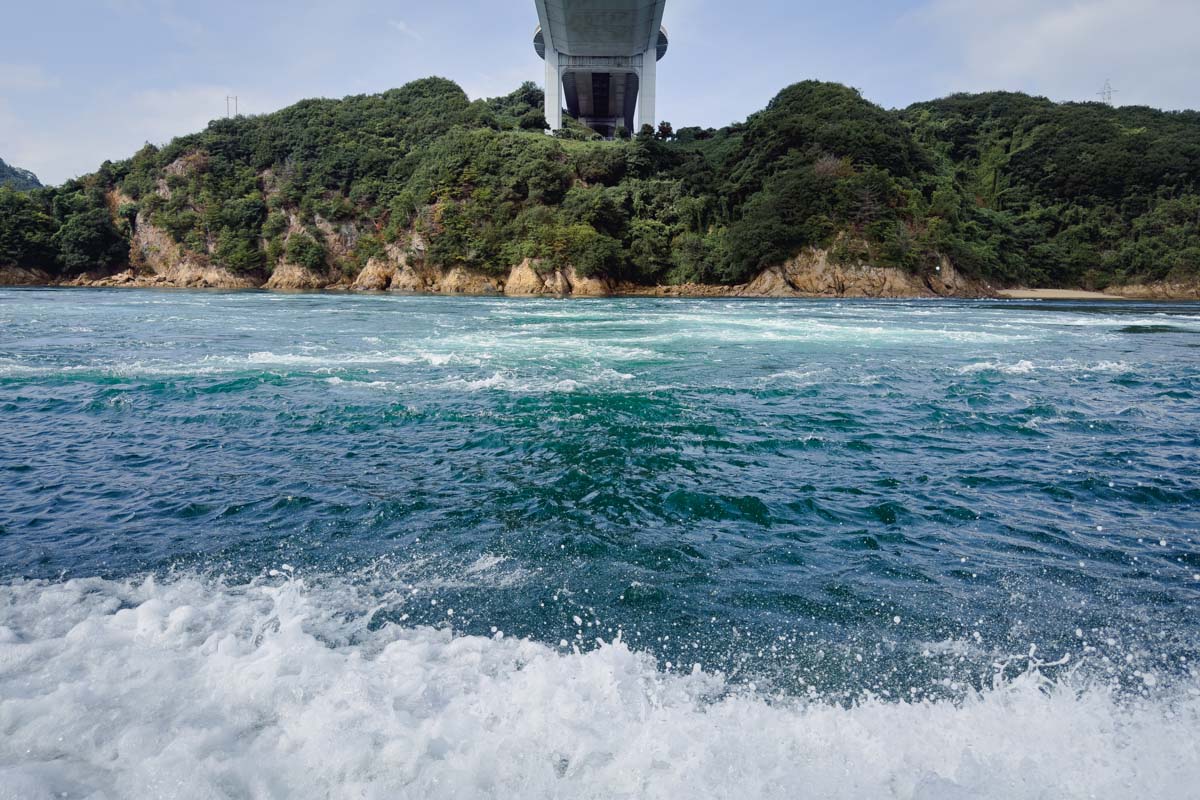 流れの速いポイントではブリも狙えるのだそう