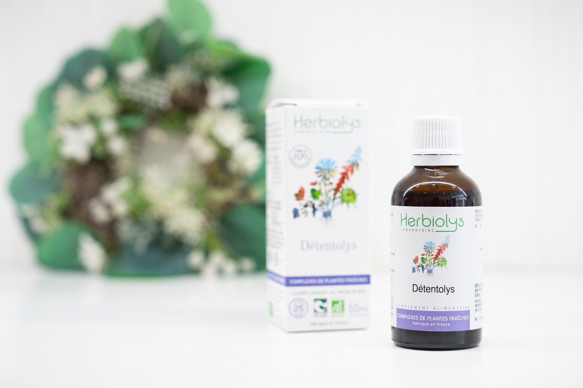 店内にはHerbiolysのエッセンスとともに、植物の写真や資料も並ぶ。ジェモセラピーは、単に製品を選ぶだけでなく、植物の個性や背景を知ることも大切にしている